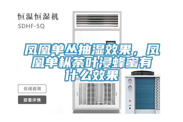 鳳凰單叢抽濕效果，鳳凰單樅荼葉浸蜂蜜有什么效果