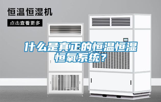 什么是真正的恒溫恒濕恒氧系統(tǒng)？