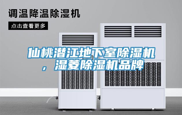 仙桃潛江地下室除濕機，濕菱除濕機品牌