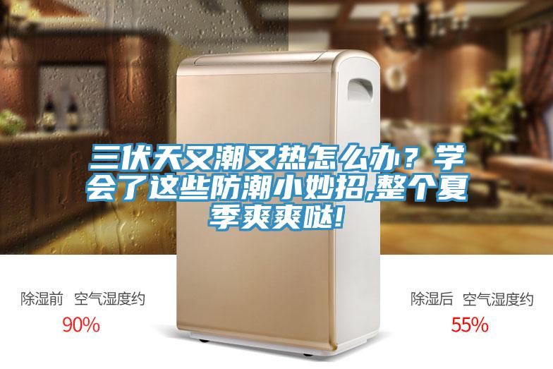三伏天又潮又熱怎么辦？學(xué)會(huì)了這些防潮小妙招,整個(gè)夏季爽爽噠!
