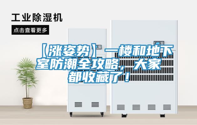 【漲姿勢(shì)】一樓和地下室防潮全攻略，大家都收藏了！