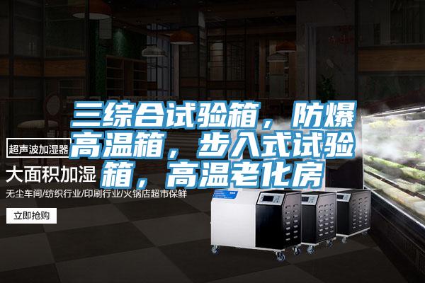 三綜合試驗(yàn)箱，防爆高溫箱，步入式試驗(yàn)箱，高溫老化房