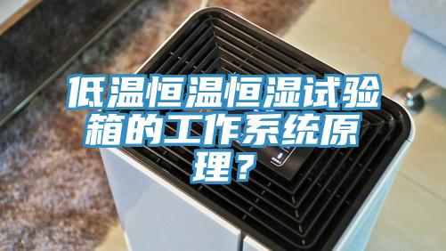 低溫恒溫恒濕試驗箱的工作系統(tǒng)原理？