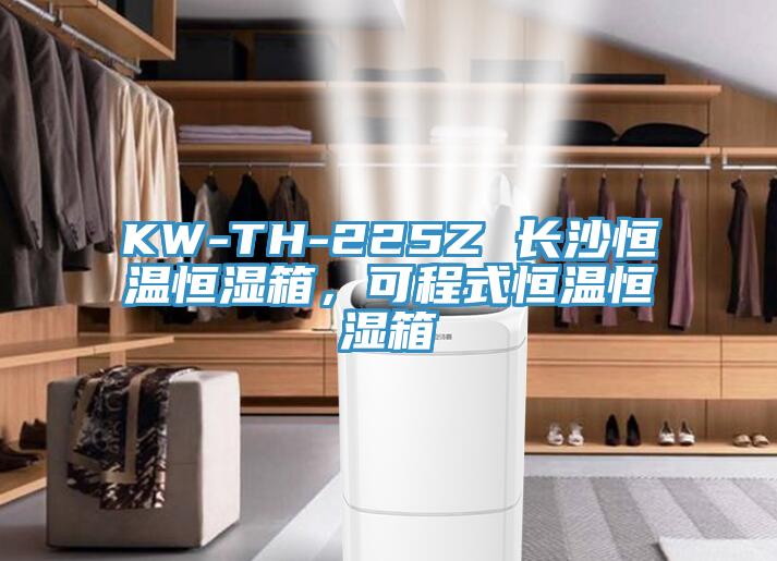 KW-TH-225Z 長沙恒溫恒濕箱，可程式恒溫恒濕箱