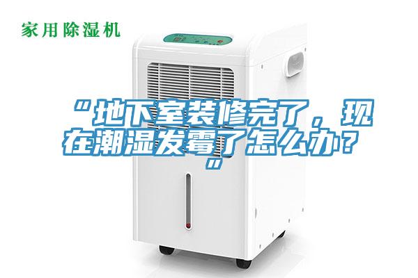 “地下室裝修完了，現(xiàn)在潮濕發(fā)霉了怎么辦？”