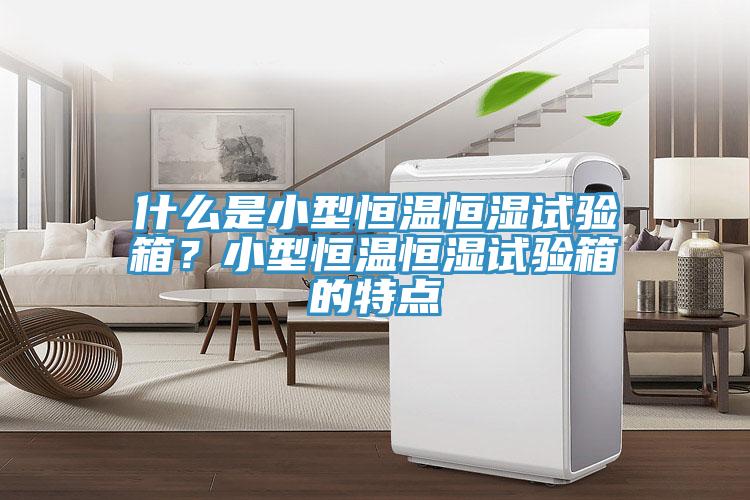 什么是小型恒溫恒濕試驗箱？小型恒溫恒濕試驗箱的特點