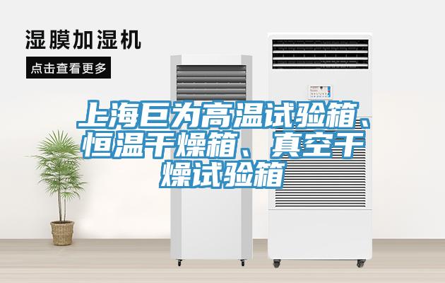 上海巨為高溫試驗箱、恒溫干燥箱、真空干燥試驗箱