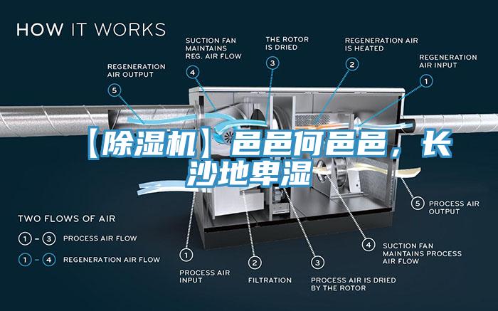 【除濕機(jī)】邑邑何邑邑，長沙地卑濕