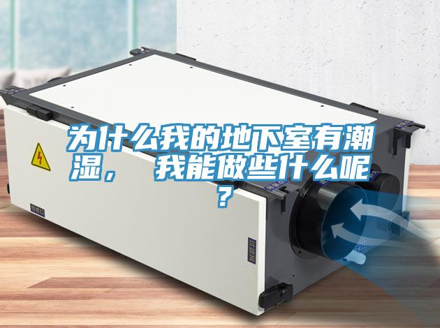 為什么我的地下室有潮濕， 我能做些什么呢？