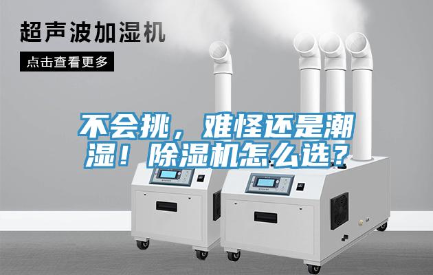 不會挑，難怪還是潮濕！除濕機怎么選？