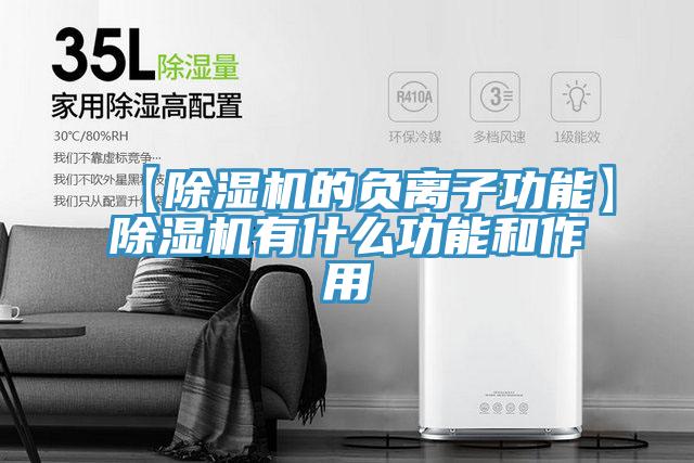 【除濕機的負(fù)離子功能】除濕機有什么功能和作用