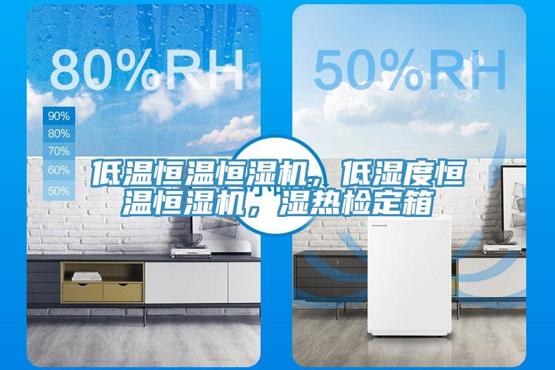 低溫恒溫恒濕機，低濕度恒溫恒濕機，濕熱檢定箱