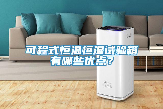 可程式恒溫恒濕試驗箱有哪些優(yōu)點(diǎn)？