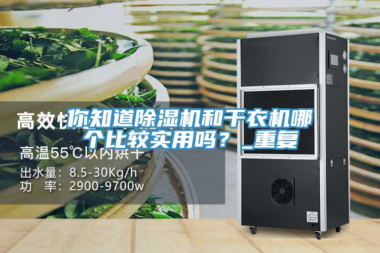 你知道除濕機(jī)和干衣機(jī)哪個比較實(shí)用嗎？_重復(fù)