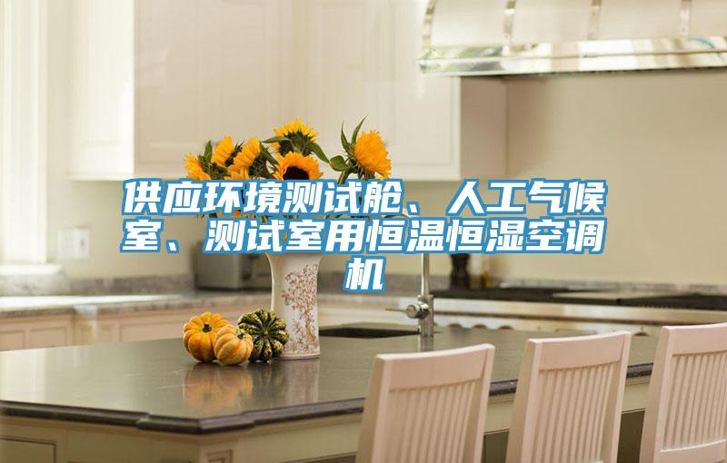 供應(yīng)環(huán)境測(cè)試艙、人工氣候室、測(cè)試室用恒溫恒濕空調(diào)機(jī)
