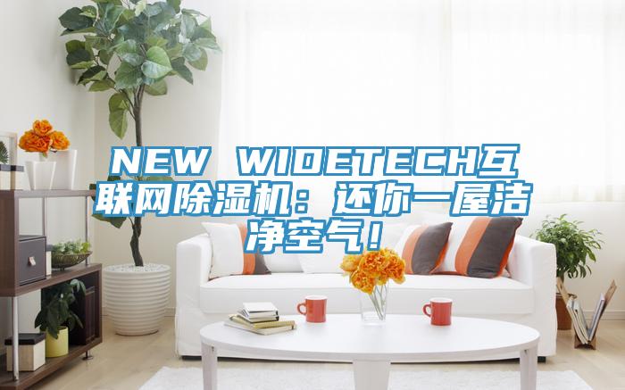 NEW WIDETECH互聯(lián)網(wǎng)除濕機(jī)：還你一屋潔凈空氣！
