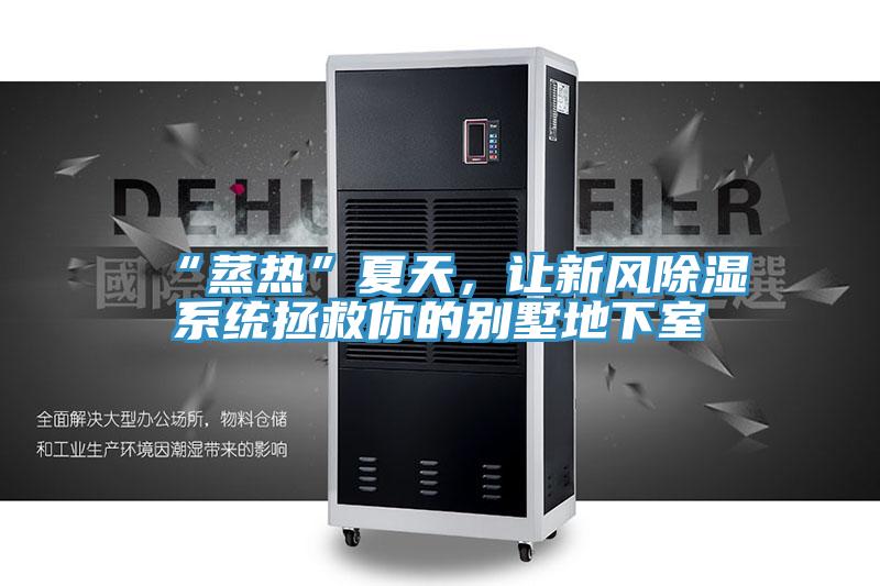 “蒸熱”夏天，讓新風除濕系統(tǒng)拯救你的別墅地下室