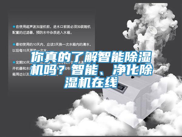 你真的了解智能除濕機嗎？智能、凈化除濕機在線