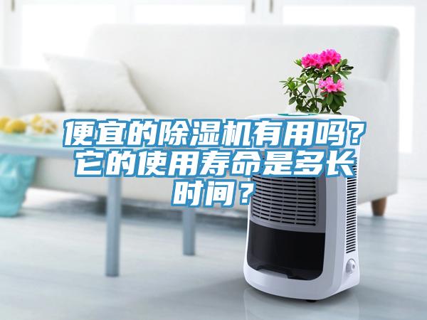 便宜的除濕機(jī)有用嗎？它的使用壽命是多長(zhǎng)時(shí)間？