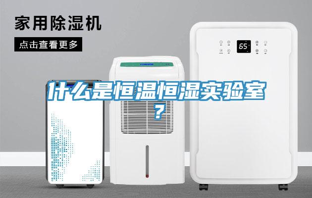 什么是恒溫恒濕實驗室？
