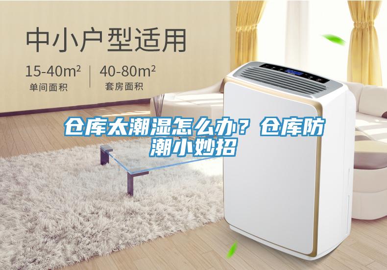 倉庫太潮濕怎么辦？倉庫防潮小妙招