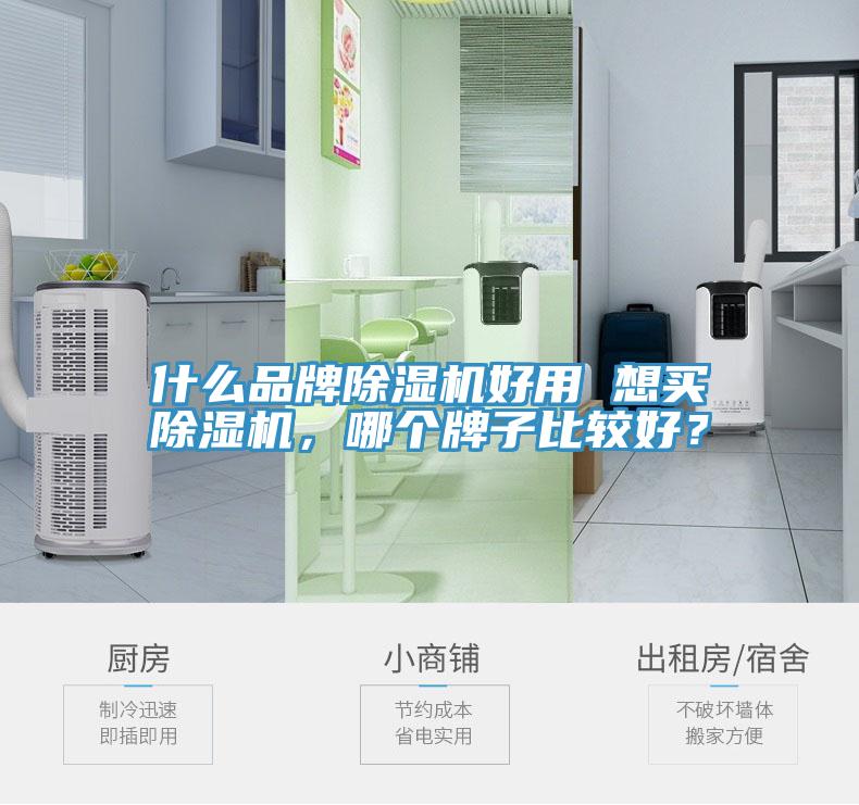 什么品牌除濕機(jī)好用 想買除濕機(jī)，哪個(gè)牌子比較好？