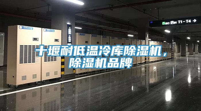 十堰耐低溫冷庫除濕機，除濕機品牌