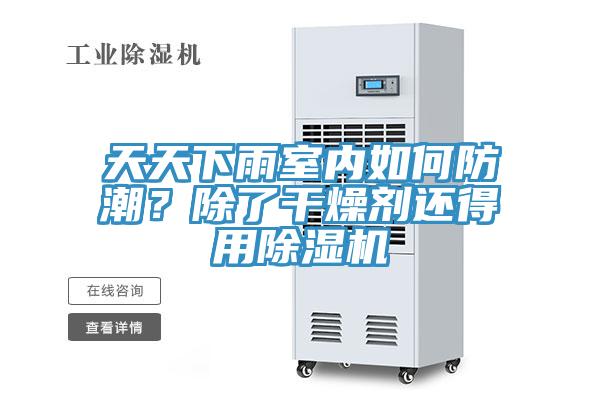 天天下雨室內(nèi)如何防潮？除了干燥劑還得用除濕機(jī)