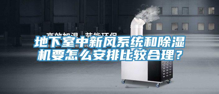 地下室中新風(fēng)系統(tǒng)和除濕機(jī)要怎么安排比較合理？
