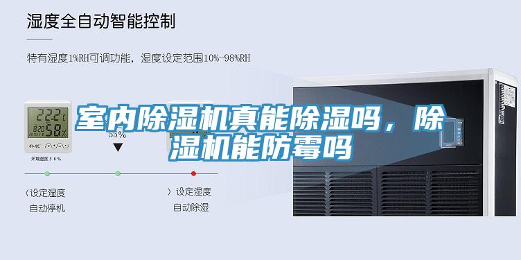 室內(nèi)除濕機真能除濕嗎，除濕機能防霉嗎