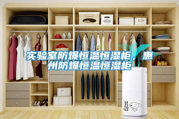 實驗室防爆恒溫恒濕柜，惠州防爆恒溫恒濕柜