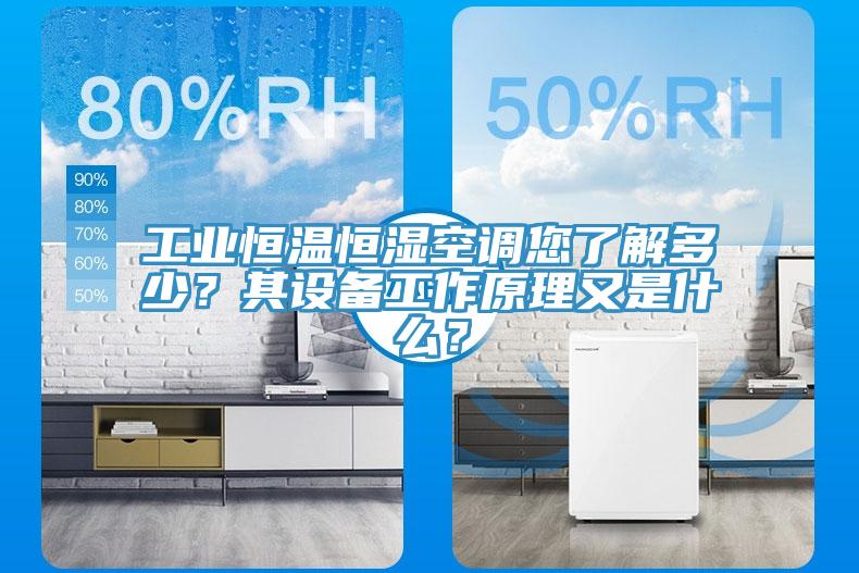 工業(yè)恒溫恒濕空調(diào)您了解多少？其設(shè)備工作原理又是什么？