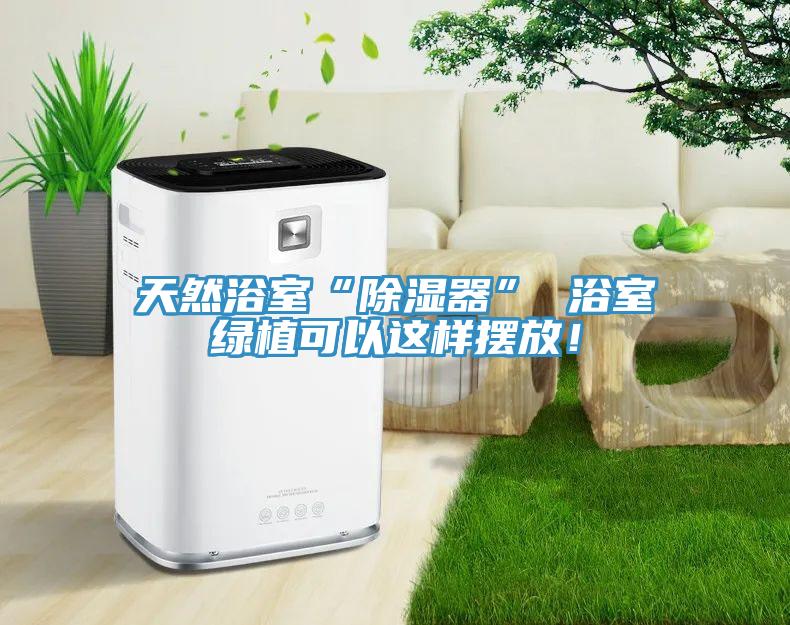 天然浴室“除濕器” 浴室綠植可以這樣擺放！