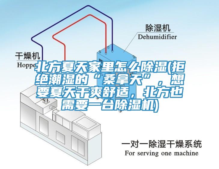 北方夏天家里怎么除濕(拒絕潮濕的“桑拿天”，想要夏天干爽舒適，北方也需要一臺(tái)除濕機(jī))