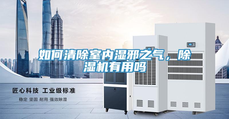 如何清除室內(nèi)濕邪之氣，除濕機(jī)有用嗎