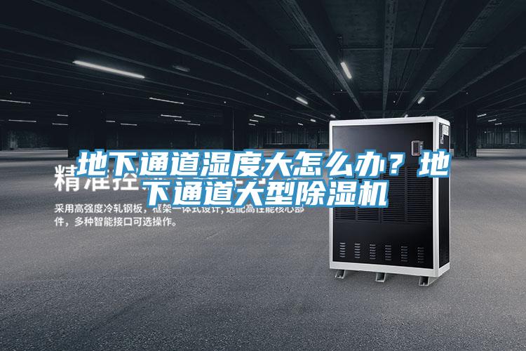 地下通道濕度大怎么辦？地下通道大型除濕機(jī)