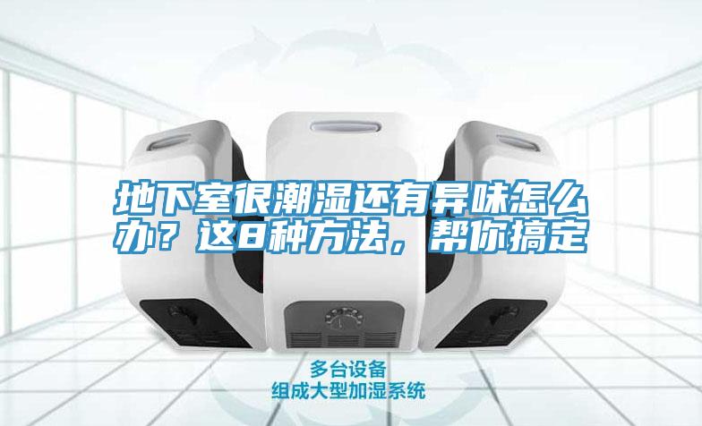 地下室很潮濕還有異味怎么辦？這8種方法，幫你搞定