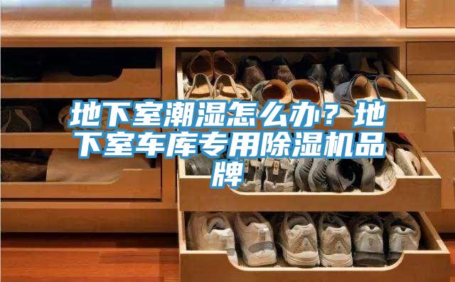 地下室潮濕怎么辦？地下室車庫專用除濕機(jī)品牌