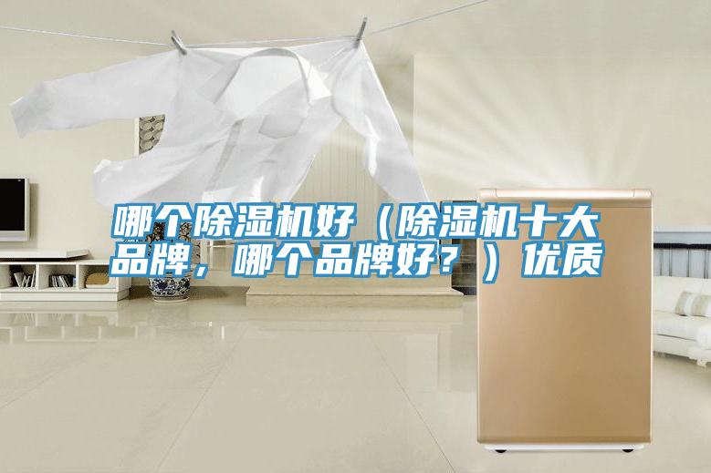 哪個(gè)除濕機(jī)好（除濕機(jī)十大品牌，哪個(gè)品牌好？）優(yōu)質(zhì)