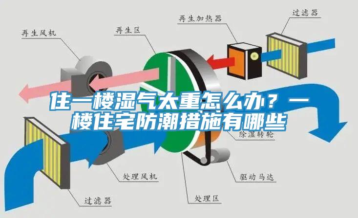 住一樓濕氣太重怎么辦？一樓住宅防潮措施有哪些