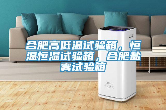 合肥高低溫試驗箱，恒溫恒濕試驗箱，合肥鹽霧試驗箱