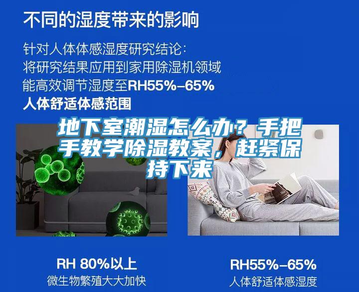 地下室潮濕怎么辦？手把手教學(xué)除濕教案，趕緊保持下來