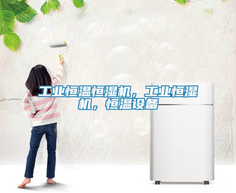 工業(yè)恒溫恒濕機(jī)，工業(yè)恒濕機(jī)，恒溫設(shè)備