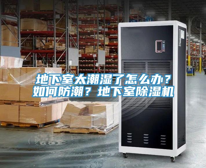 地下室太潮濕了怎么辦？如何防潮？地下室除濕機(jī)