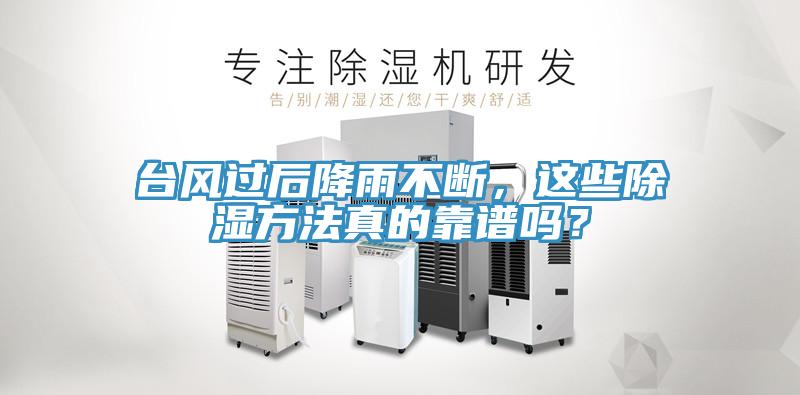 臺(tái)風(fēng)過(guò)后降雨不斷，這些除濕方法真的靠譜嗎？