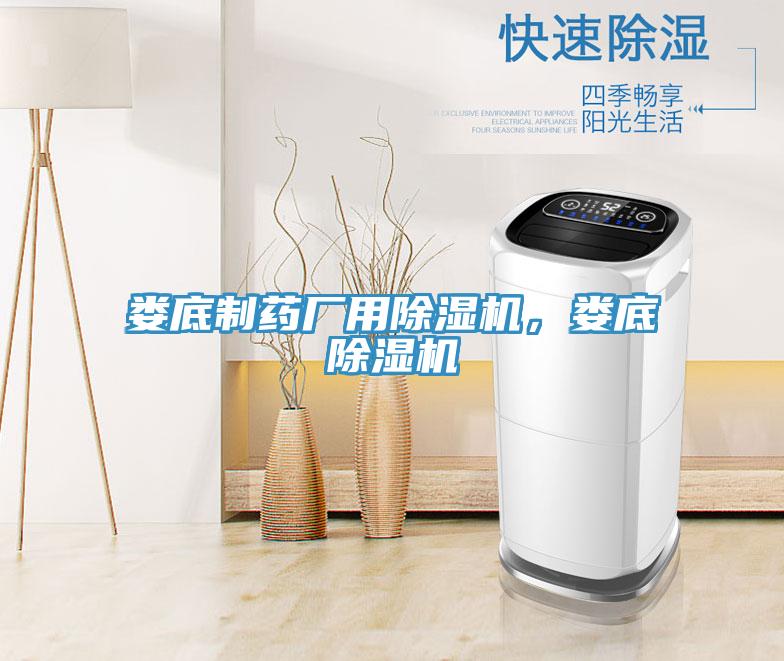 婁底制藥廠用除濕機，婁底除濕機