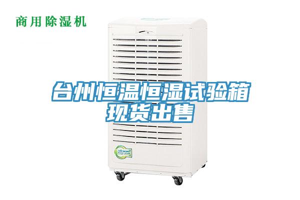臺州恒溫恒濕試驗箱現貨出售