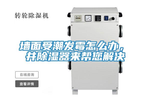 墻面受潮發(fā)霉怎么辦，東井除濕器來幫您解決