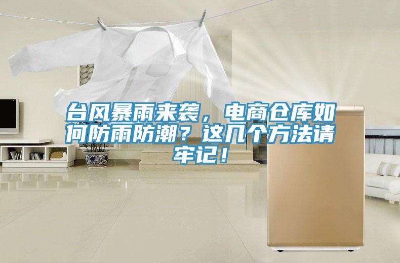 臺風暴雨來襲，電商倉庫如何防雨防潮？這幾個方法請牢記！