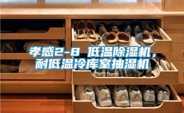 孝感2-8℃低溫除濕機(jī)，耐低溫冷庫室抽濕機(jī)